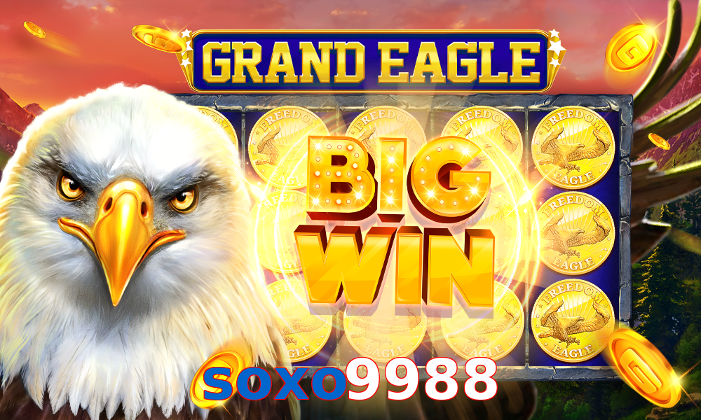 soxo9988