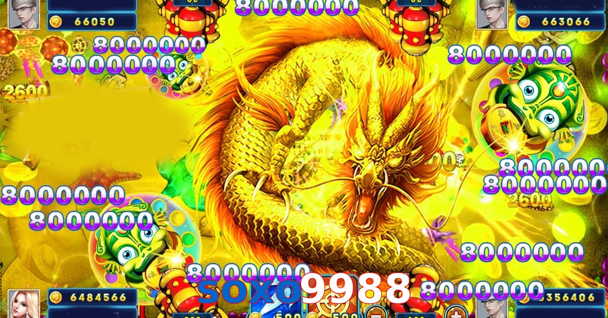 soxo9988