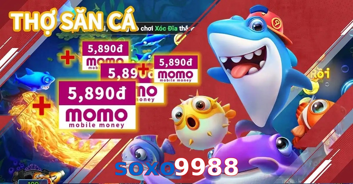 soxo9988