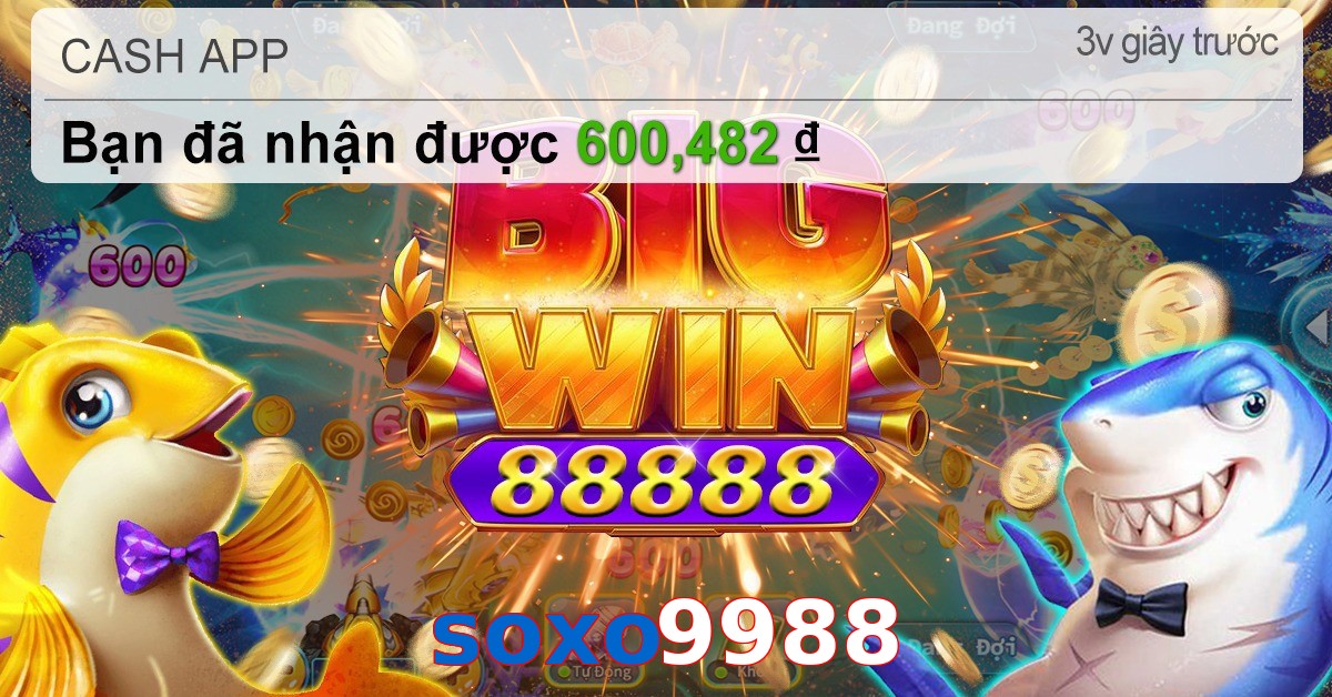 soxo9988