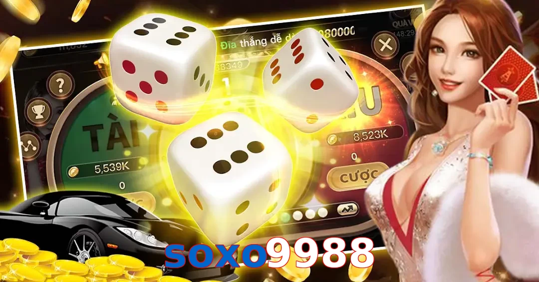 soxo9988